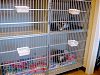 Cat Hospitalization Room All Creatures Great and Small Vet Clinic  Corvallis, Oregon
